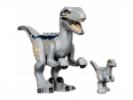 LEGO® Jurassic World™ 76946 - Chytenie velociraptorov Blue a Bety